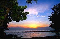 Roatan, Honduras. by Shawn Jackson 